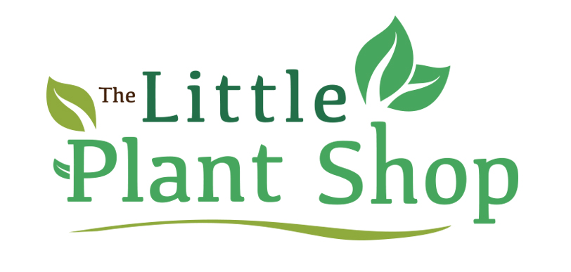 Little Plant Shop Logo design